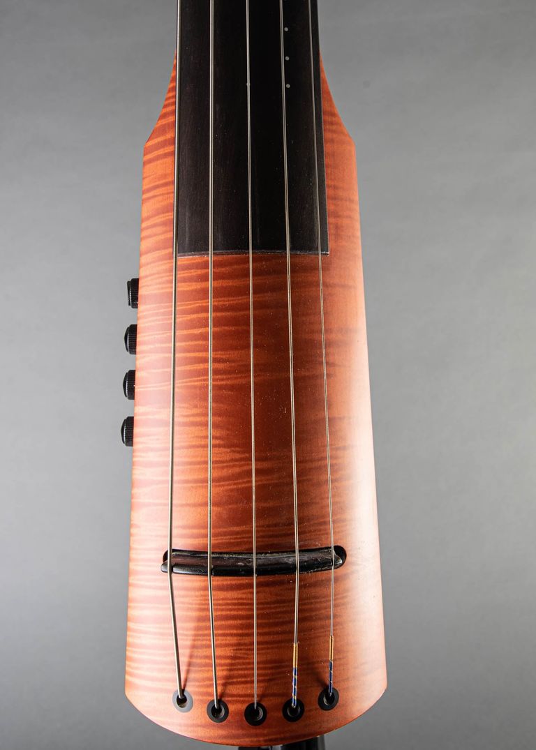 Steinberger deals upright bass