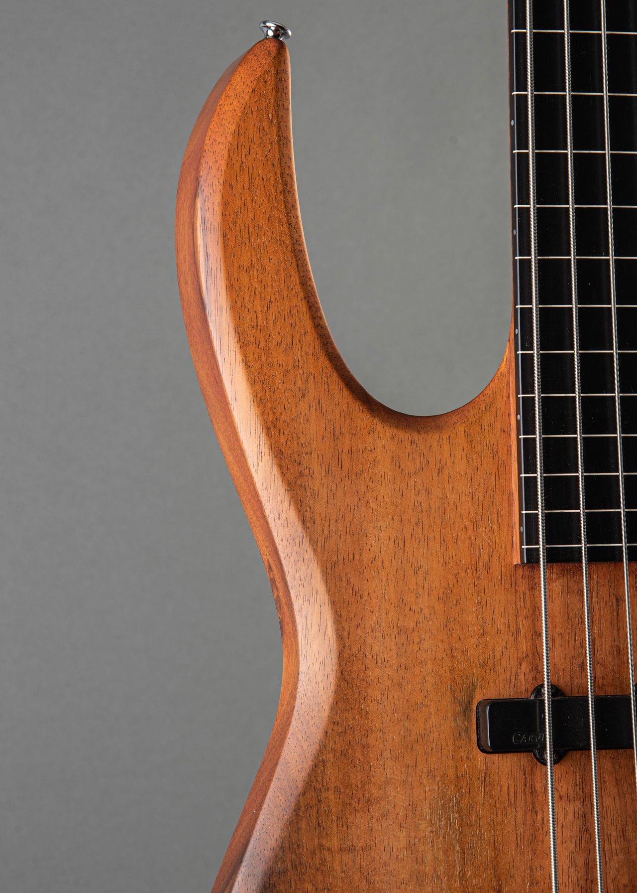 Carvin fretless deals bass