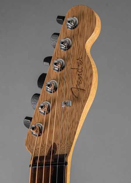 Fender Champion 600 1953 | Carter Vintage Guitars