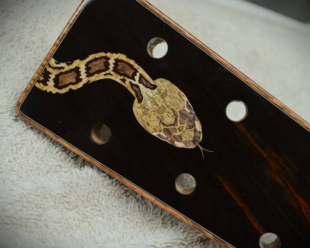 Preston Thompson "Reptilian" OM, Brazilian Rosewood & Swiss Moon Spruce