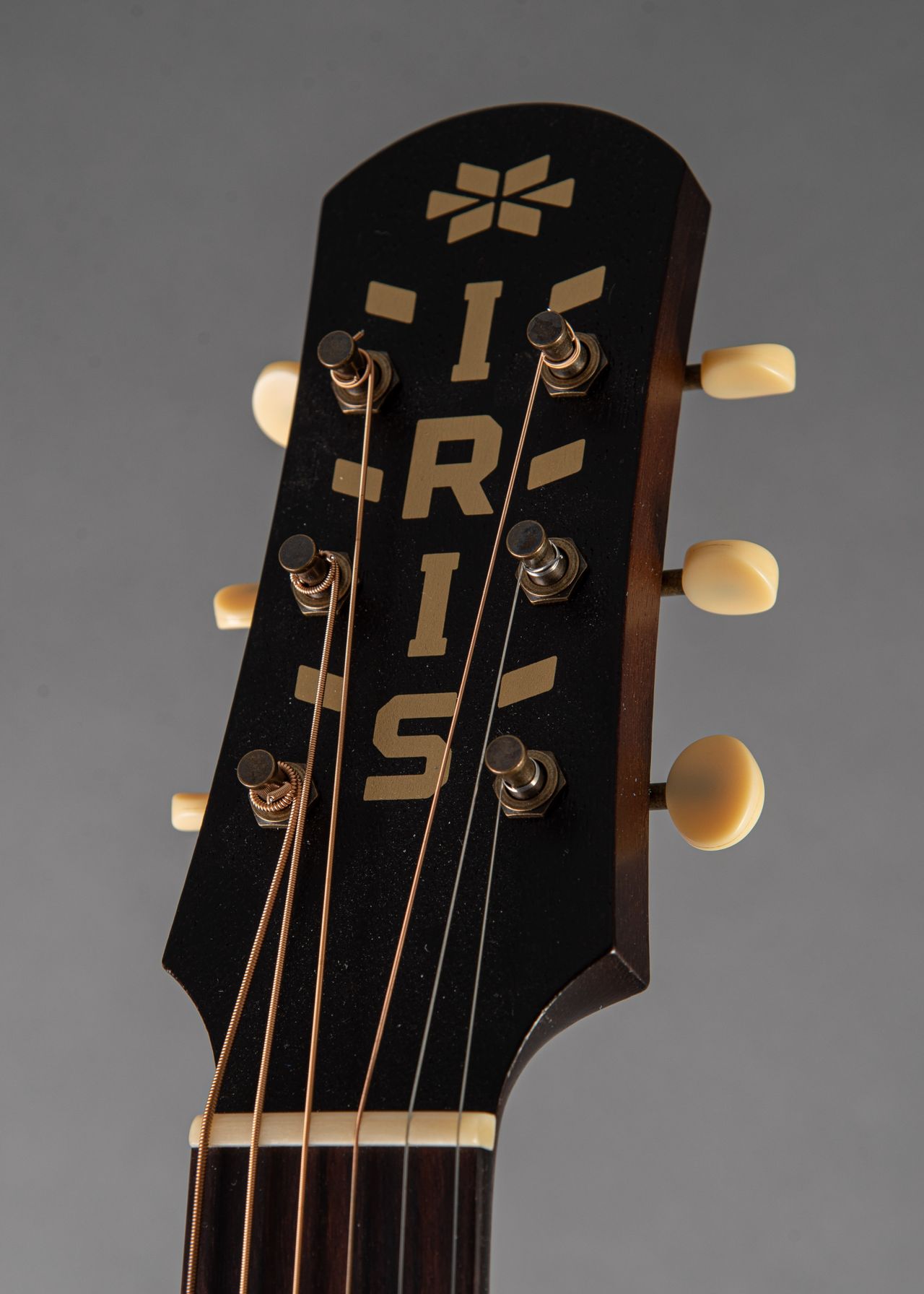 Iris DF 12-Fret Sunburst | Carter Vintage Guitars
