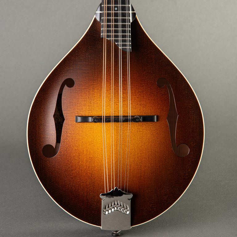 Collings mandolin store